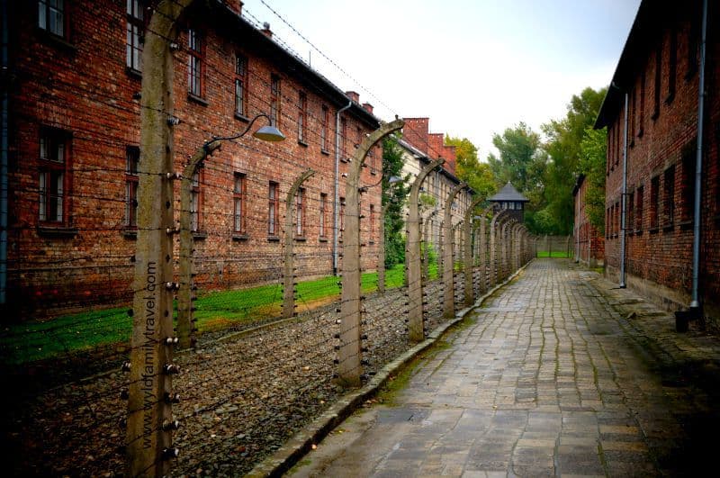 Fences at Auschwitz