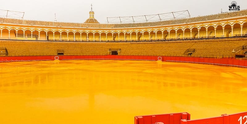The inside of the Seville Bullring. All yellow and red colored circular in shape able to hold 14,000 people. Worth seeing on yur 3 days in Seville.
