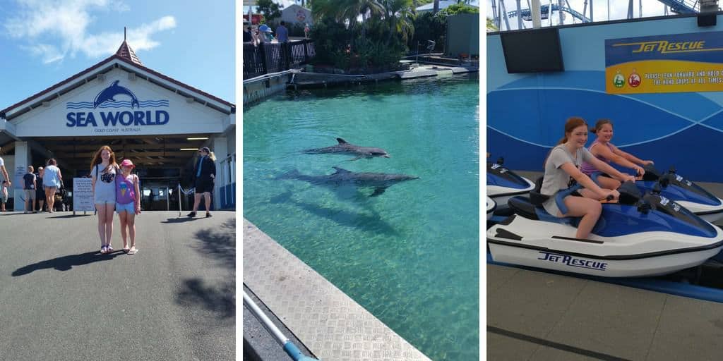 Having fun at gold coast theme parks SeaWorld