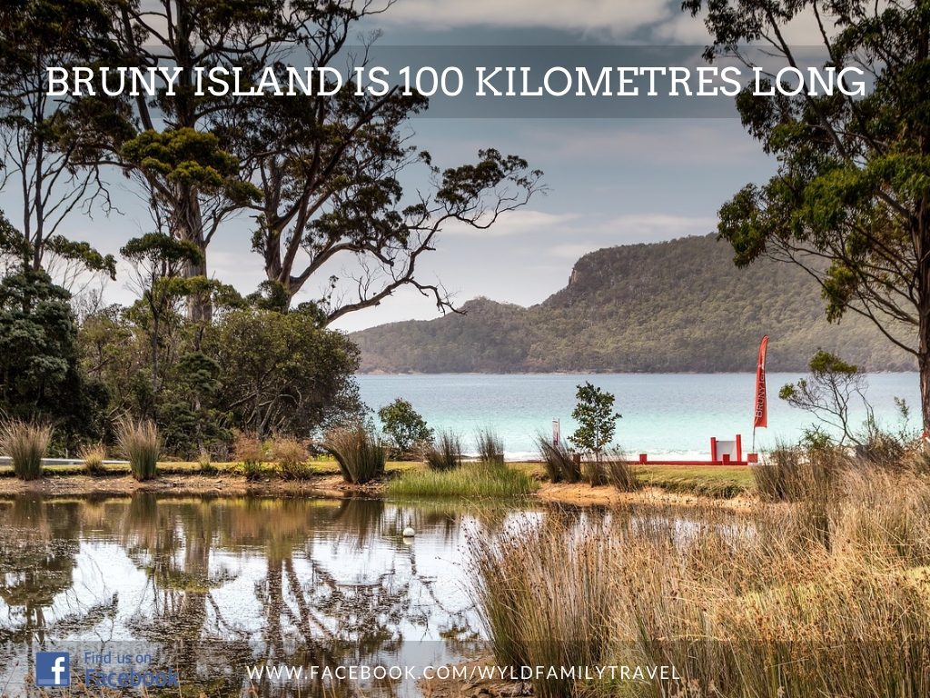 Wetlands and beach area at Bruny Island