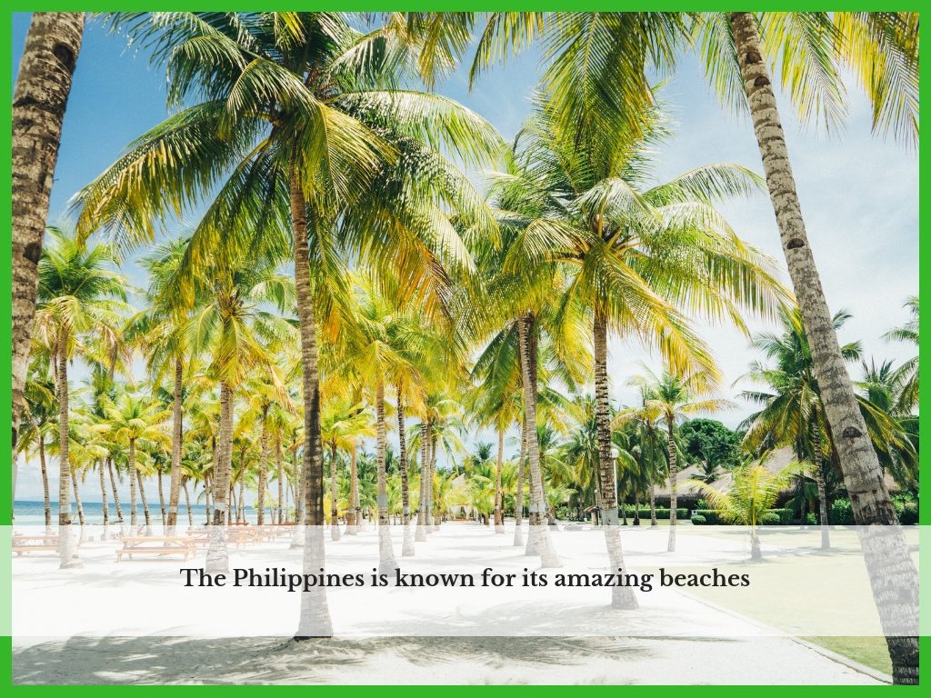 white sand beach in the Philippines