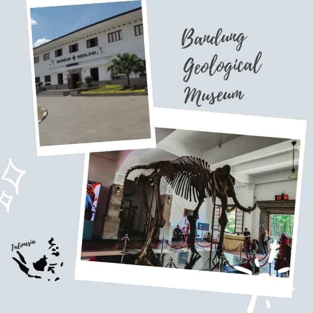 Learning on a Bandung Trip with teenagers at the Geological Museum. A collage of pictures with the building in one and a picture of the bones of a mammoth in the other