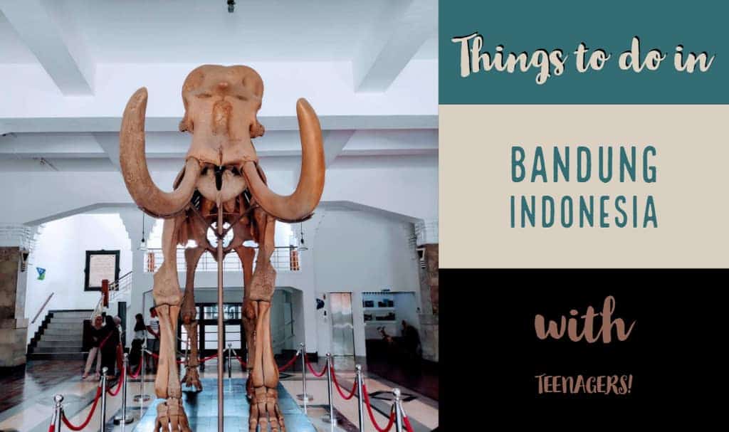 dinosuor skeleton Bandung Musuem