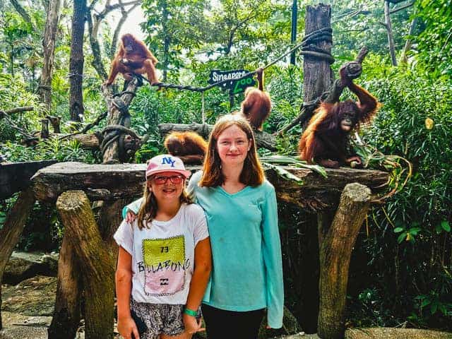 Wyld Family Travel at the zoo
