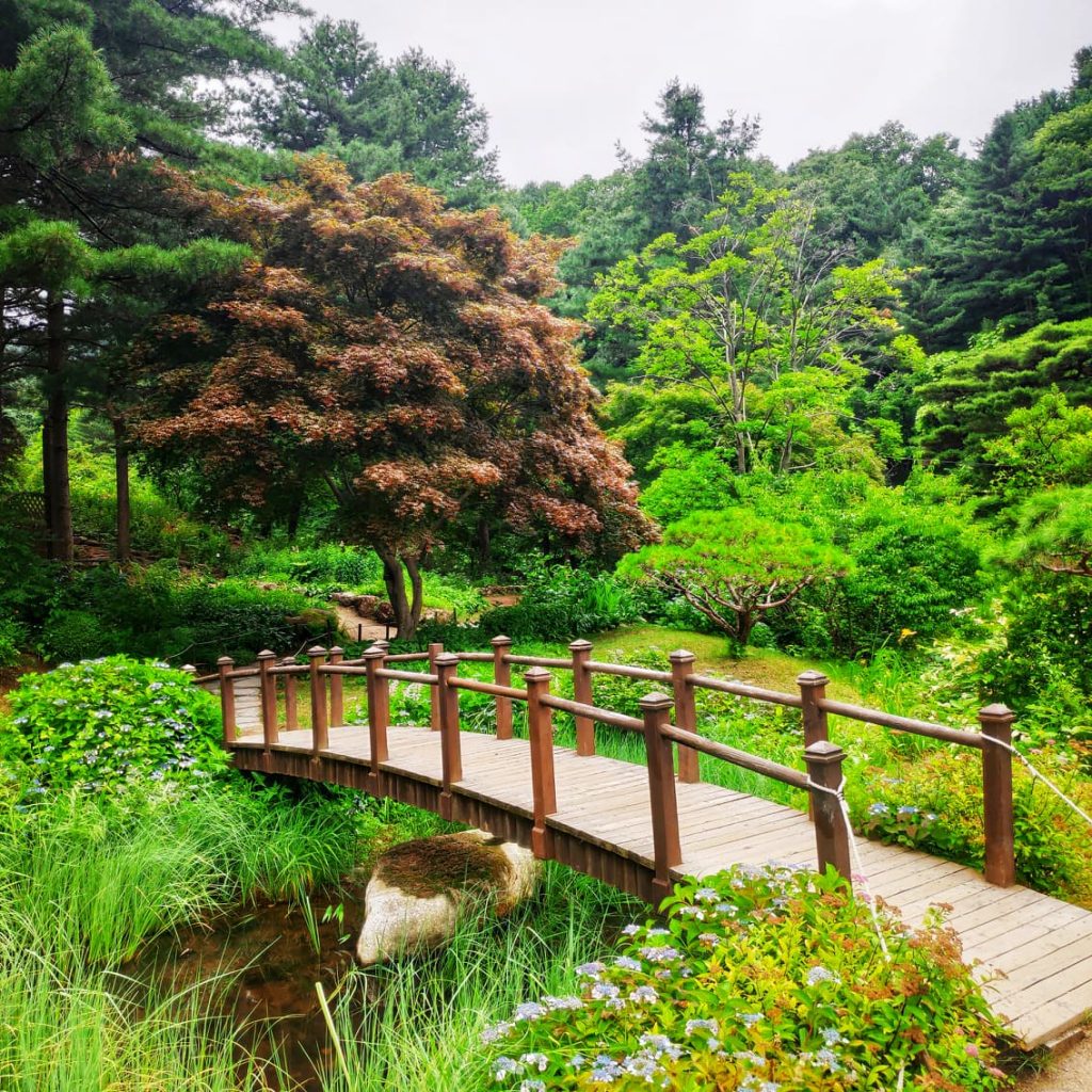 gardens in South Korea