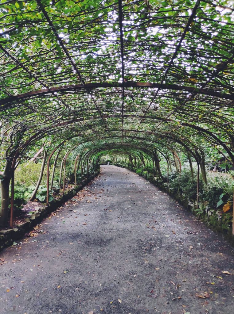 Bodnant garden in North Wales