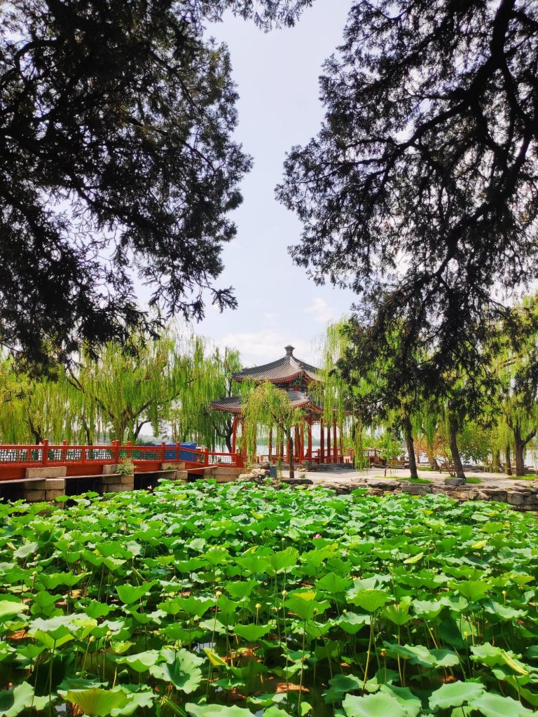 Scenic view of the Summer Palace in Beijing, showcasing its stunning architecture, gardens, and lakeside setting