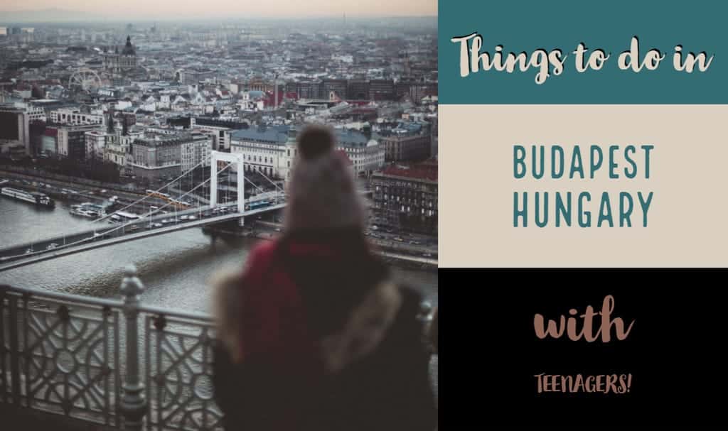 a teenager looking over Budapest