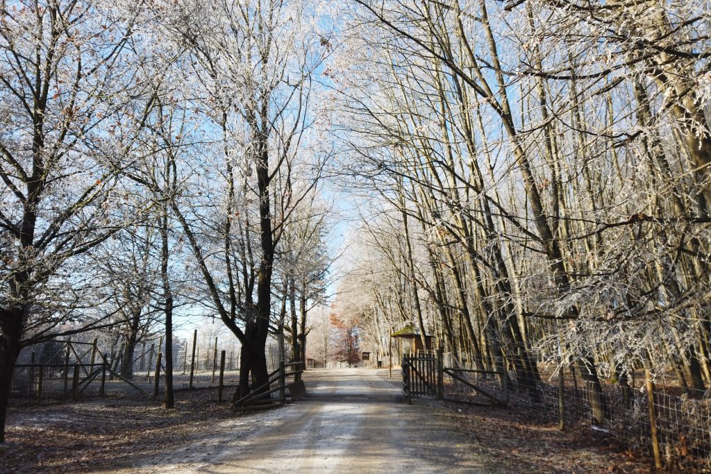 Wildpark Poing Winter