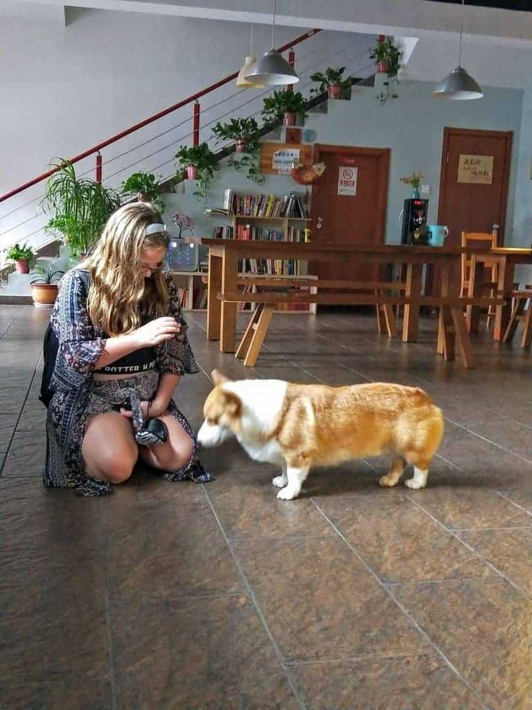 girl patting a dog at beijing Hostel