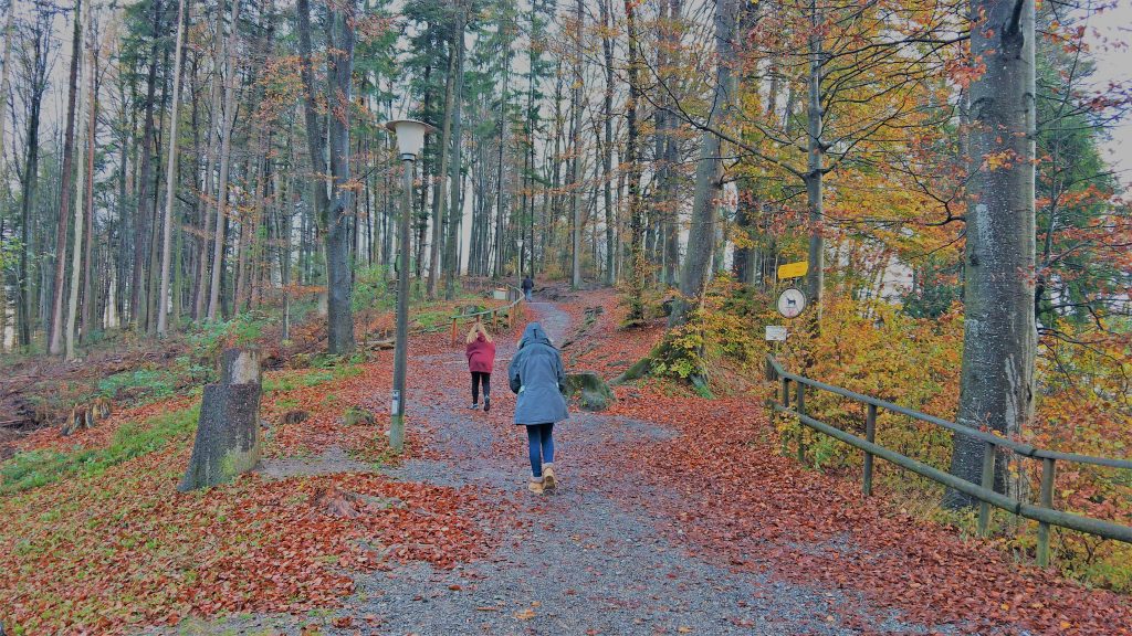 The Felsenegg recreation area provides a great view of the city after a short walk through the forest