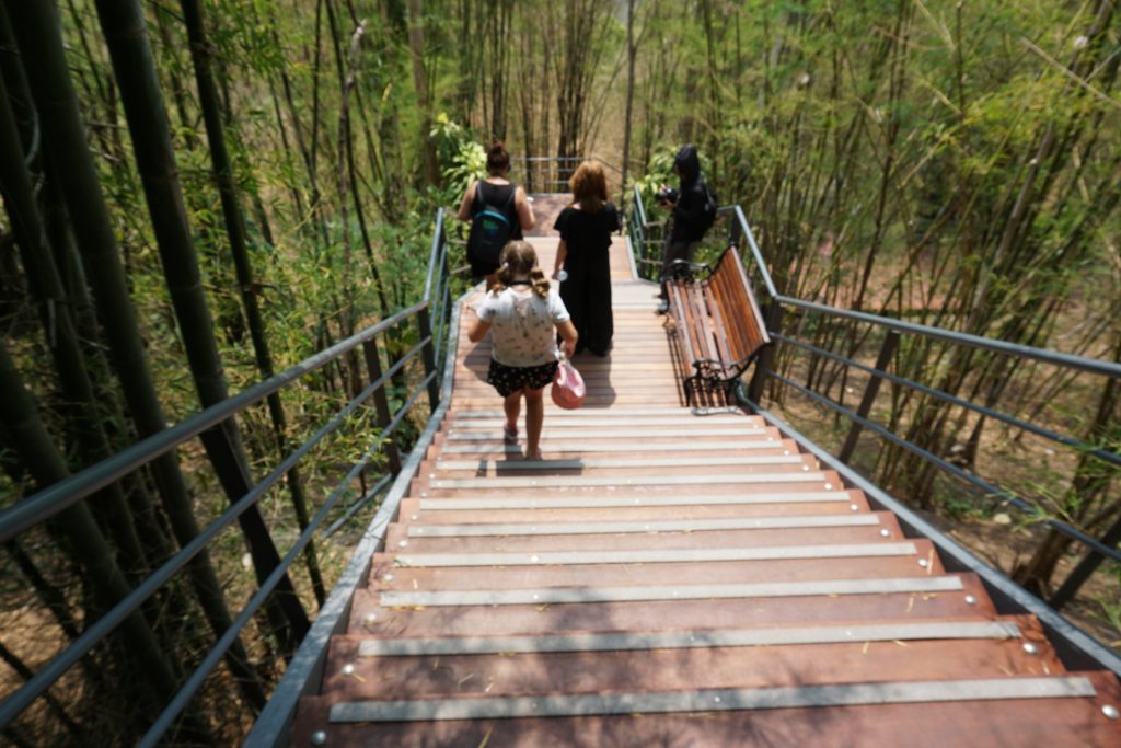 A mum and two kids walking down the steeps wooden steps at Kanchanaburi to get to the track that leads to the cutting in the rock