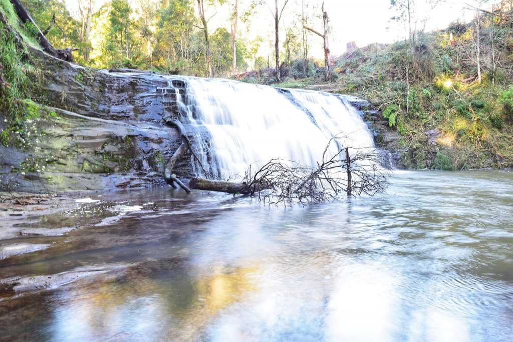 A small waterfall in the forest near Morwell Australia