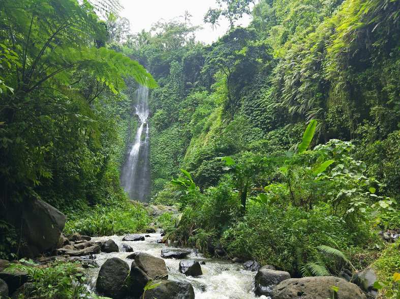 a beautiful waterfall in the jungle of North Bali