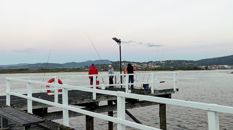 fishing off the Merimbula wharf
