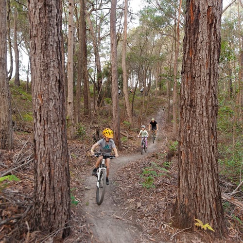 Mountain biking near Merimbula