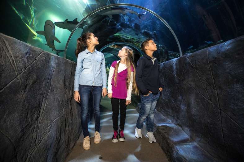 a family with young teens walking through a tunnel at SeaLife Munich