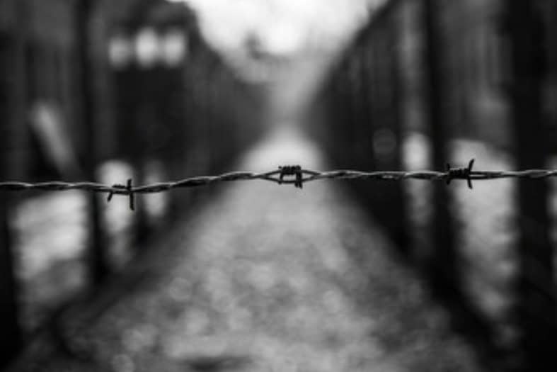The barbed wire at Auschwitz Birkenua