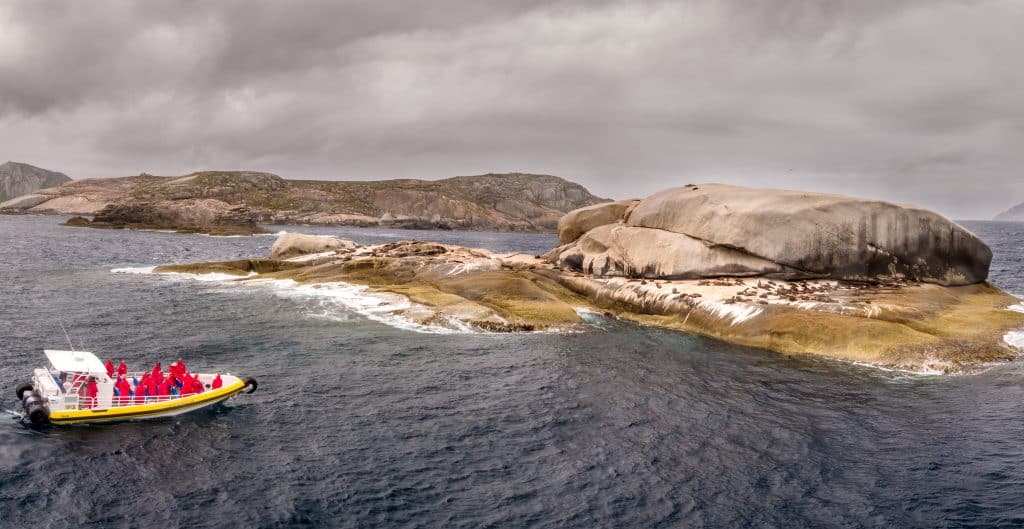 Seal-watching adventure at Pennicott Pro, Gippsland