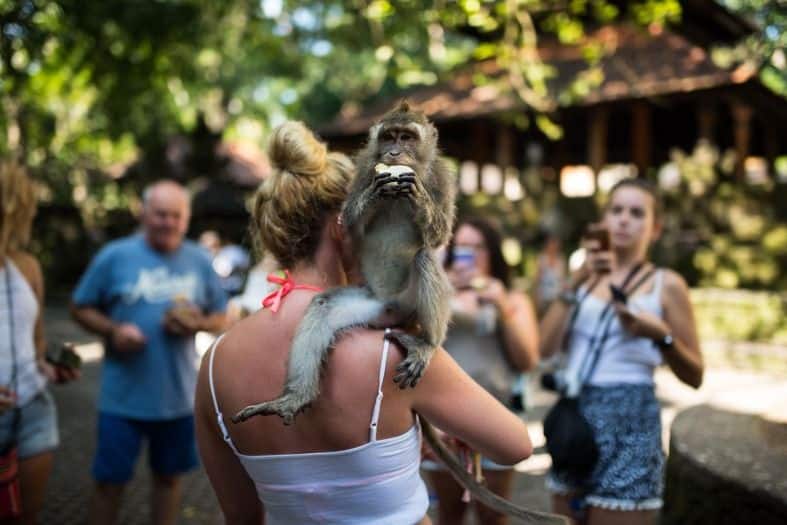 teenagers enjoying the Bali's Monkey Forest Sanctuary