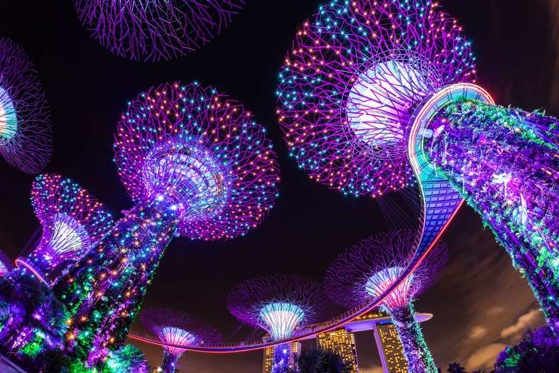 A mesmerizing view of the Gardens by the Bay in Singapore