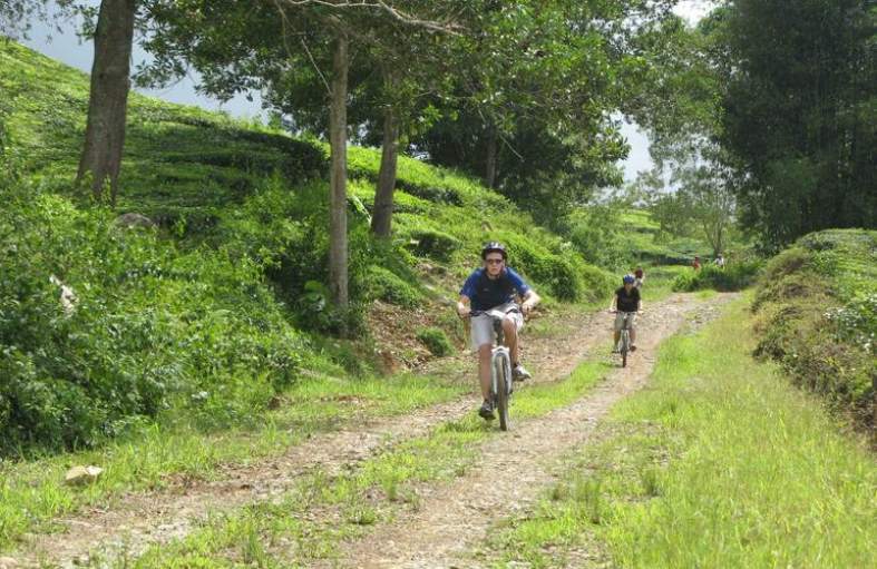 Riding a mountain bike down a hill on Pulau Ubin near singapore