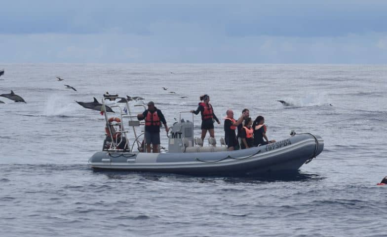People on a boat watching dolphins in the Azores