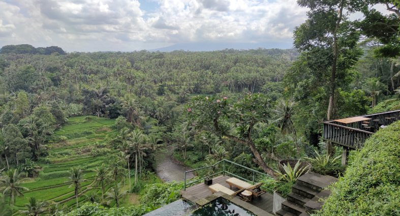 The view of the rice fields from Sayan Point Restaurant in Ubud