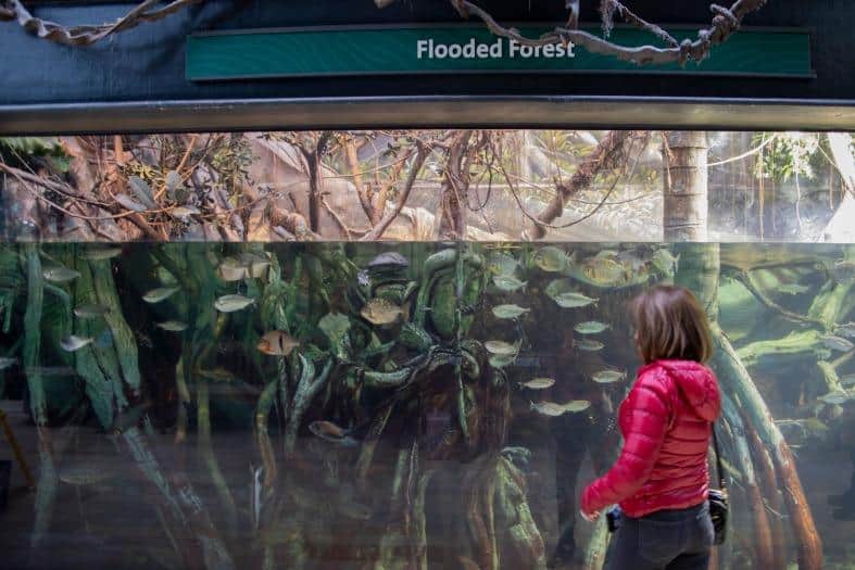 a teenager at a aquarium in Chicago