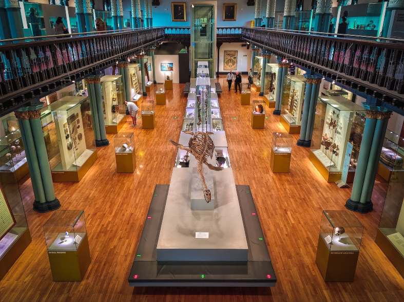 The inside of the Hunterian Museum