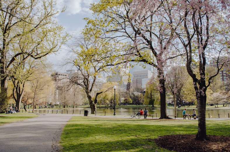 A serene scene at Boston Common Park, the oldest public park in the United States