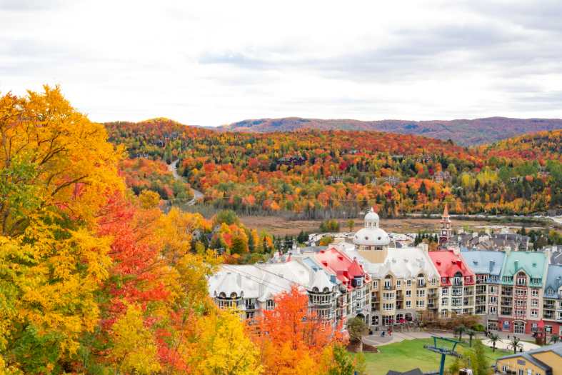 Colorful trees in the Laurentian Mountains in Canada