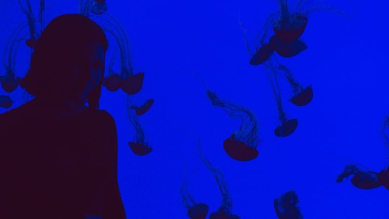 Toronto aquarium