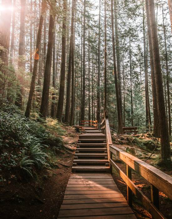 outdoor trails in vancouver