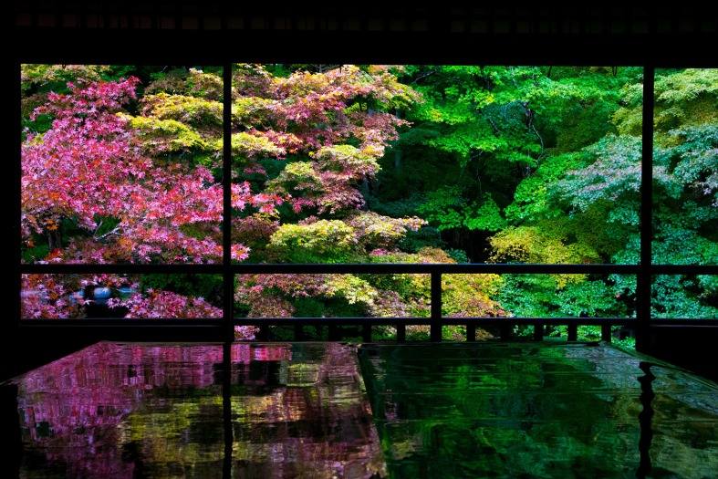 panoramic view of Kyoto, Japan is a must visit for the things to do in Kyoto with teenagers