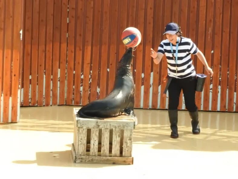 A playful and exciting scene at Tokyo Hybrid Leisure Land Tobu Zoo