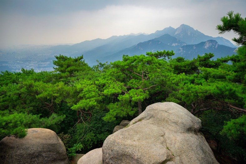 serene view of Bukhansan National Park in Seoul