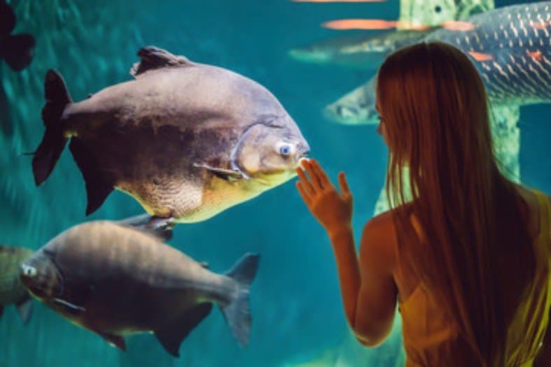 a teenage girl at Barcelona aquarium