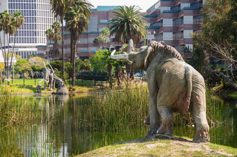 A mammoth at the La Brea Tar Pits in LA