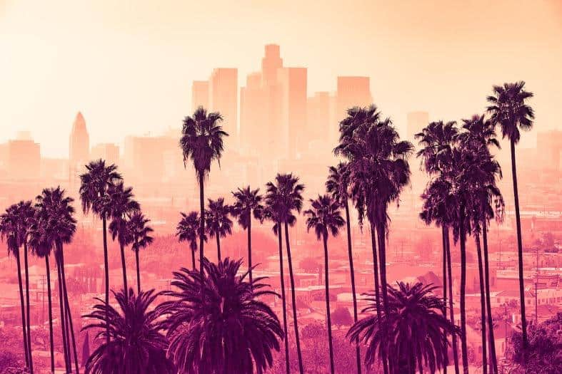 sunrise of over Los Angeles with palm tress and skyscrappers