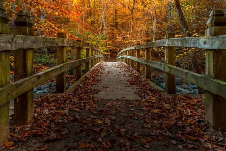 walking trails in rock creek park in washington d.c
