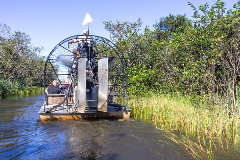 a boat in the everglades