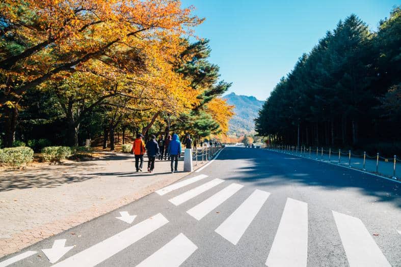 people visiting Grand Park in Seoul