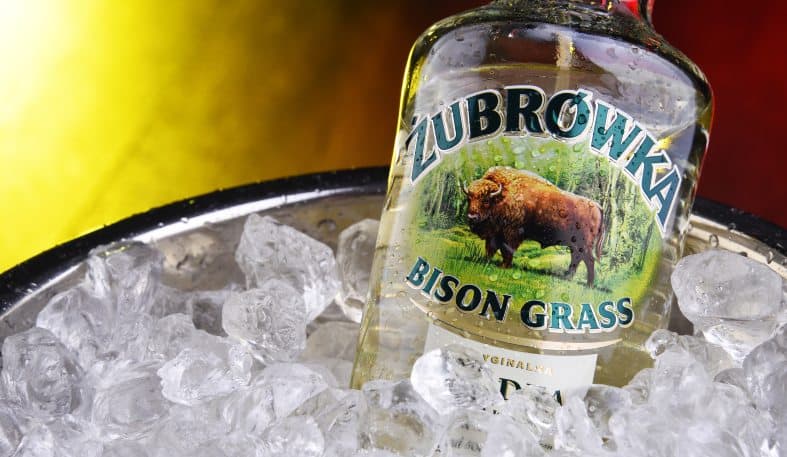 Polish Vodka on ice in a bucket
