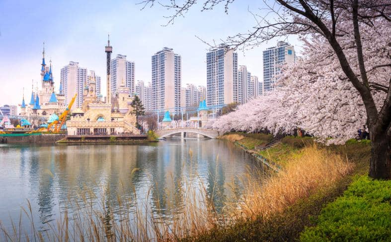scenic view of cherry blossoms in full bloom, gracing the city of Seoul with their delicate pink petals