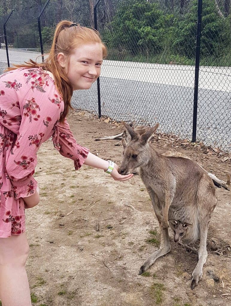 a teenage girl feeding a kangaroo at Gumbuya World near Melbourne