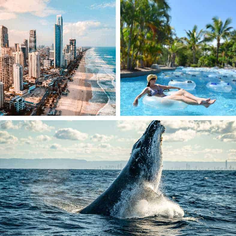 beaches, whales and waterparks on the Gold Coast