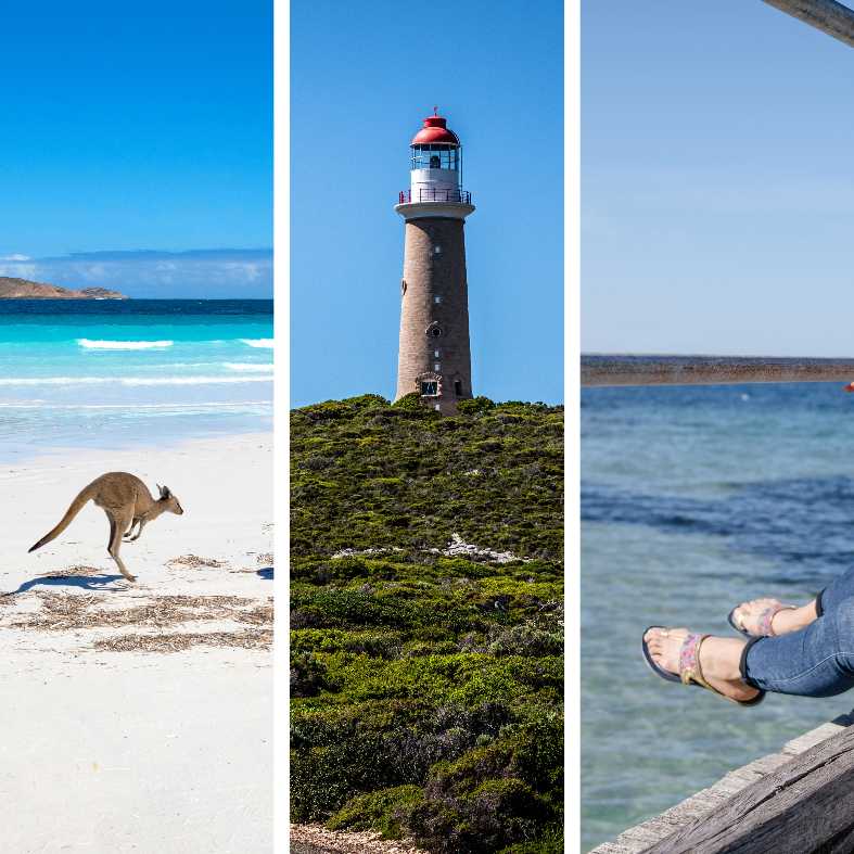a phot collage of Kangaroo island in Australia featuring wildlife and beaches