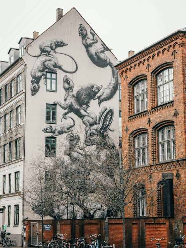 Vibrant expressions on Copenhagen's canvas