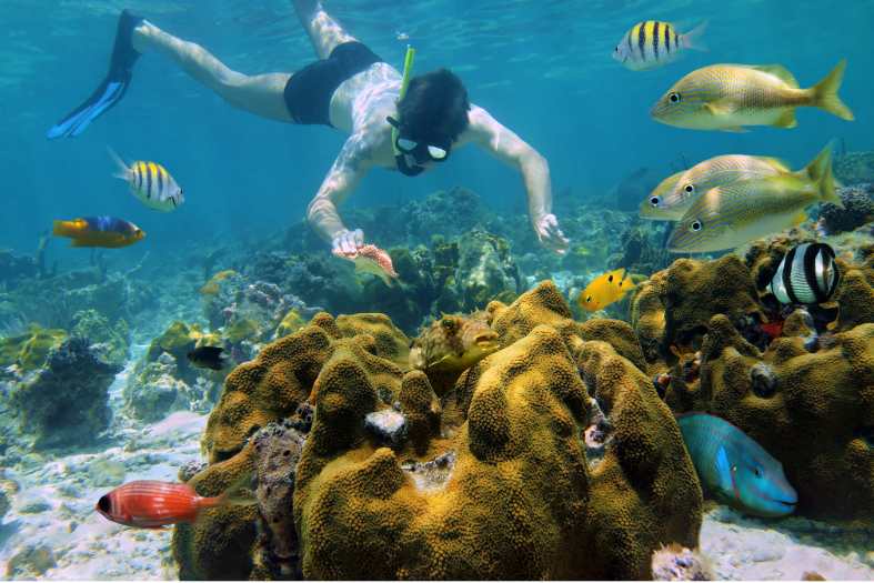 a teenage enjoying snorkeling in the waters off cancun